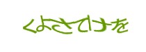 Authentication image